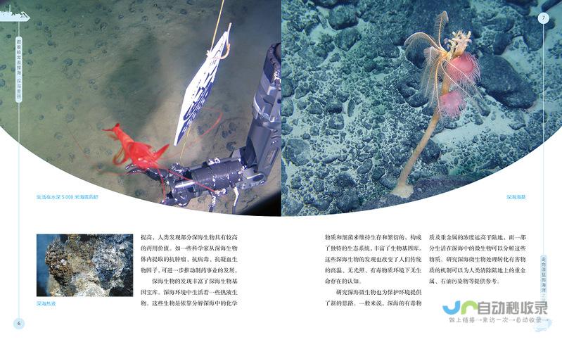 探索海东网：深度解读海东新闻、资讯及本地生活