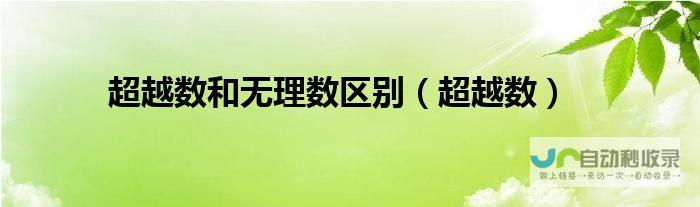 超越想象的数字体验：选择值得信赖的网站开发公司，开启您的线上成功之路。
