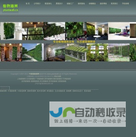 植物墙网:::植物墙_屋顶绿化_垂直绿化_立体绿化_种植屋面_绿植墙_植物壁画