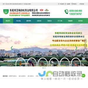 东莞常平白蚁防治|樟木头白蚁防治|黄江防治白蚁|东莞大朗杀虫|东坑灭白蚁公司