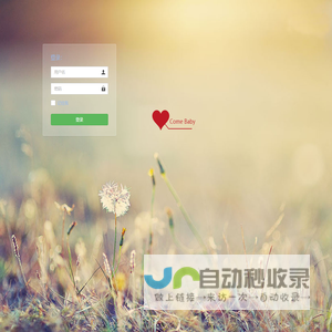 花公子鲜花
