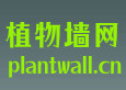 植物墙网:::植物墙